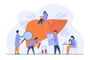 Гепатопротекторы для лечения печени