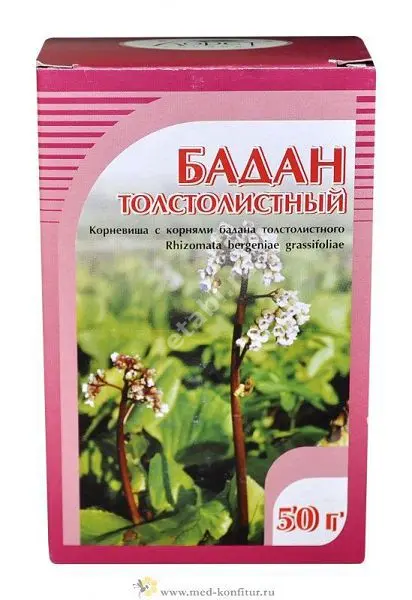 БАДАН ТОЛСТОЛИСТНЫЙ КОРНЕВИЩА 50г N1 (Хорст, РФ)