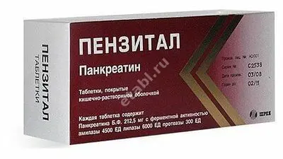 ПЕНЗИТАЛ ГАСТРО табл. п.о. N100 (Шрея Лайф Саенсиз, ИНДИЯ)