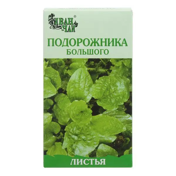 ПОДОРОЖНИКА ЛИСТЬЯ сырье 50г N1 (Иван-чай, РФ)