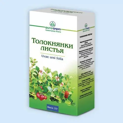 ТОЛОКНЯНКИ ЛИСТЬЯ сырье 50г N1 (ФИТОФАРМ, РФ)