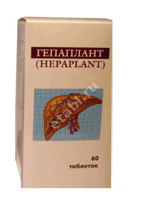 ГЕПАПЛАНТ табл. N60 (Ханкинтатукку, ФИНЛЯНДИЯ)