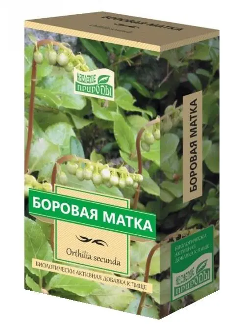 ОРТИЛИЯ ОДНОБОКАЯ (БОРОВАЯ МАТКА) 30г N1 (Камелия-ЛТ, РФ)