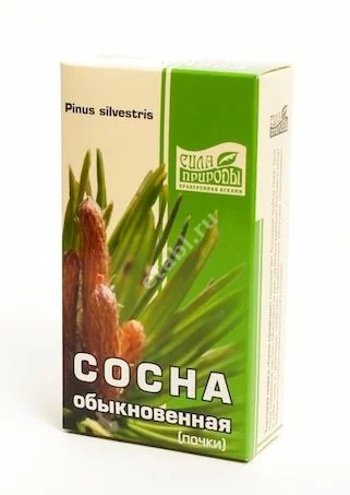 СОСНОВЫЕ ПОЧКИ сырье 50г N1 (Лек С +, РФ)
