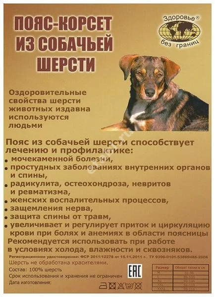 ПОЯС противорадикулитн шерсть собачья р.52-56 (Авангард, РФ)