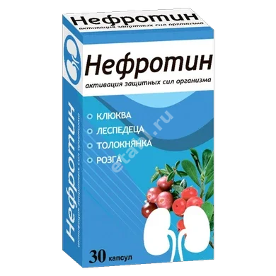 НЕФРОТИН капс. 0.4г N30 (Натурофарм, РФ)