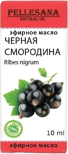 МАСЛО ЭФИРНОЕ Черная смородина 10мл (Рино Био, РФ)