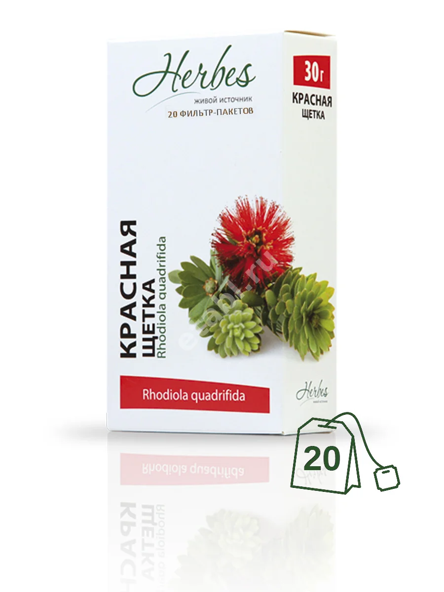 КРАСНАЯ ЩЕТКА (фильтр-пак.) 1.5г N20 (Хербес, РФ)