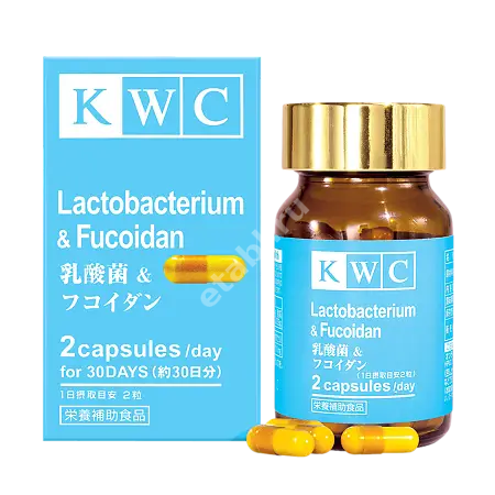 ЛАКТОБАКТЕРИИ С ФУКОИДАНОМ КВЦ (KWC) капс. N60 (Кросс, ЯПОНИЯ)