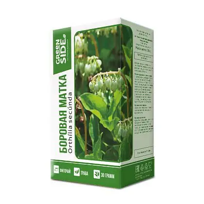 ОРТИЛИЯ ОДНОБОКАЯ (БОРОВАЯ МАТКА) 30г N1 (ГРИН САЙД, РФ)