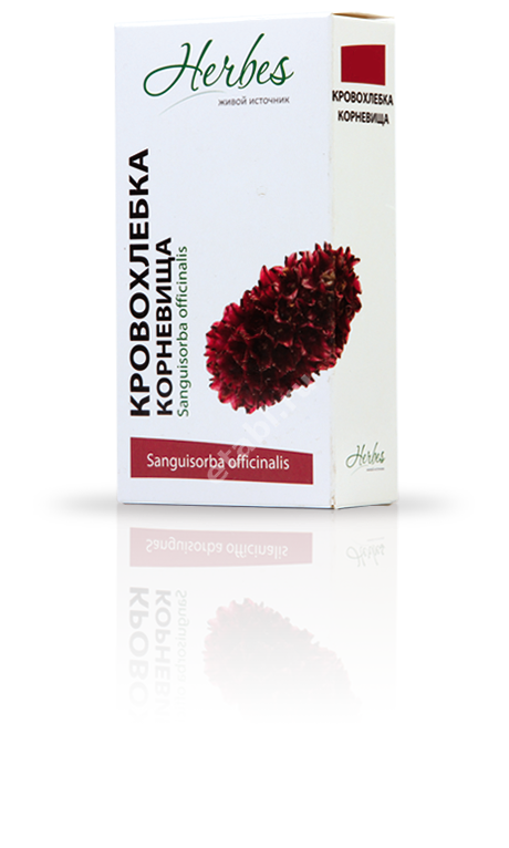 КРОВОХЛЕБКИ КОРНЕВИЩА С КОРНЯМИ (фильтр-пак.) 1.5г N20 (Хербес, РФ)
