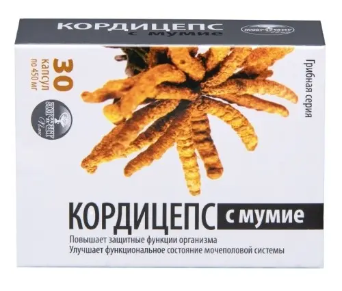 РИЗИНГСТАР (RISINGSTAR) Грибная Серия Кордицепс с мумие капс. 0.45г N60 (Алфит плюс, РФ)