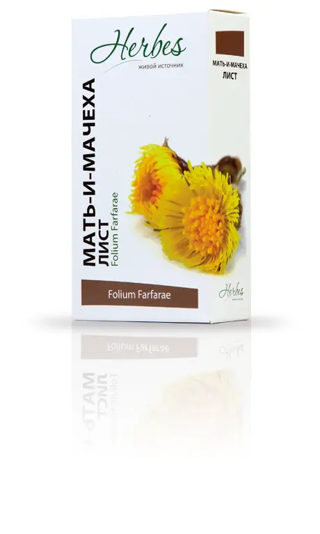 МАТЬ-И-МАЧЕХИ ЛИСТЬЯ (фильтр-пак.) 1.5г N20 (Хербес, РФ)