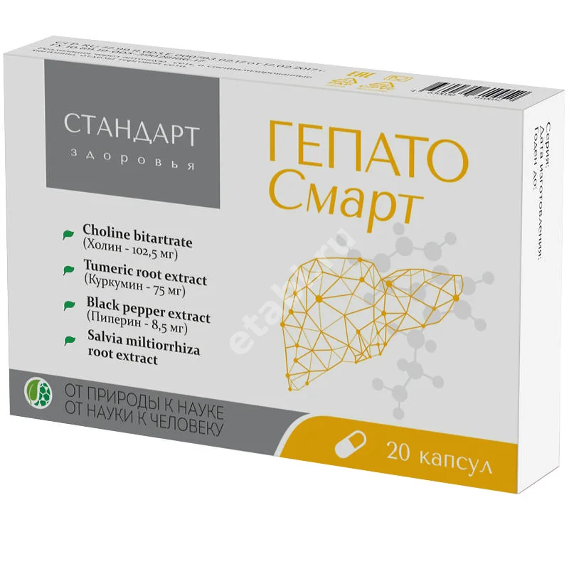 СТАНДАРТ ЗДОРОВЬЯ ГЕПАТО СМАРТ капс. 0.48г N20 (Тульская Ф.Ф., РФ)