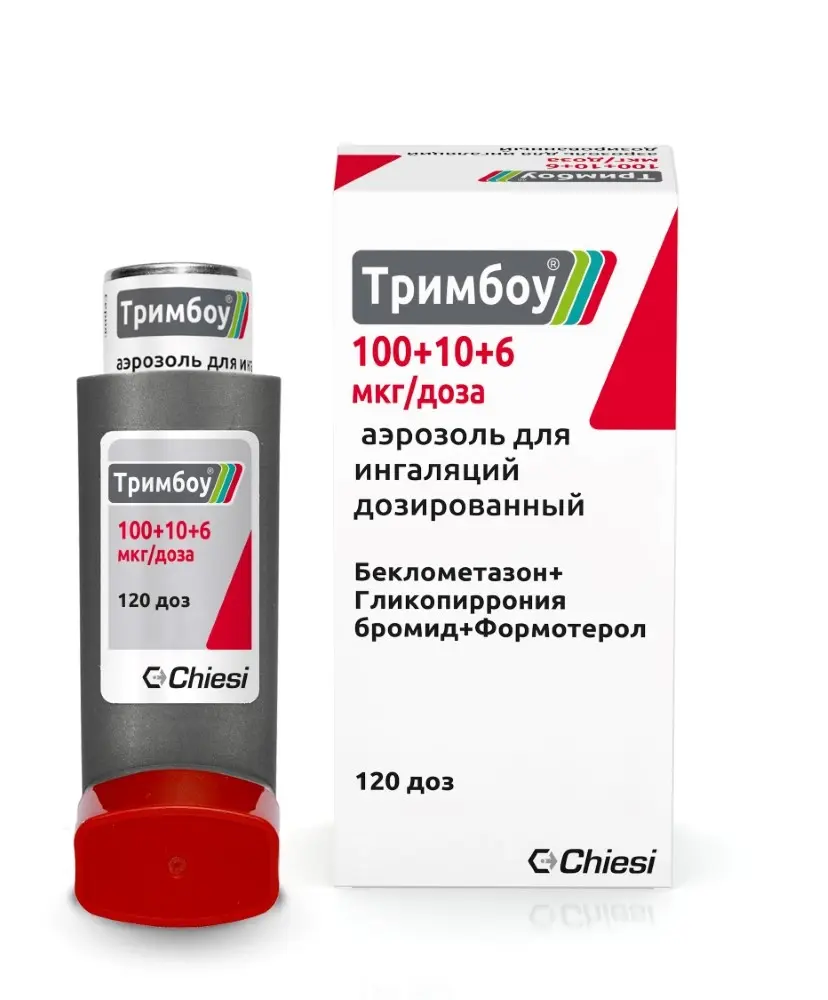 ТРИМБОУ аэроз. д/ингал. доз. 100мкг+10мкг+6мкг - 120доз N1 (КЬЕЗИ, ИТАЛИЯ)