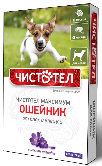 ЧИСТОТЕЛ Максимум ошейник инсектоакарицидный д/собак фиолетовый арт.C609 (Экопром НПФ, РФ)