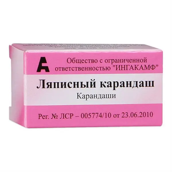 ЛЯПИСНЫЙ КАРАНДАШ (пенал) N1 (Ингакамф, РФ)