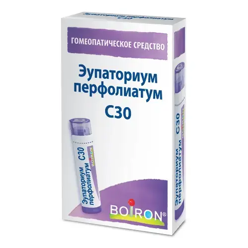 ЭУПАТОРИУМ ПЕРФОЛИАТУМ С30 гран. гомеопат. 4г N1 (Буарон Лаб, ФРАНЦИЯ)