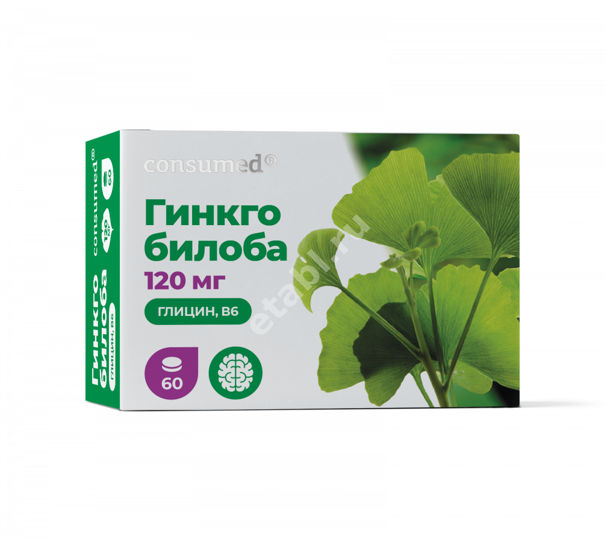 ГИНКГО БИЛОБА 120 + ГЛИЦИН + В6 табл. N60 (ГРИН САЙД, РФ)