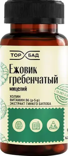 ЕЖОВИК ГРЕБЕНЧАТЫЙ с Холином/Витамином В6/Гинкго Билоба капс. 0.5г N90 (Экол, РФ)