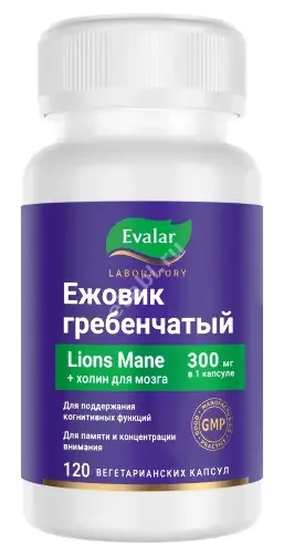 ЕЖОВИК ГРЕБЕНЧАТЫЙ капс. 0.5г N120 (ЮПЕКО, РФ)