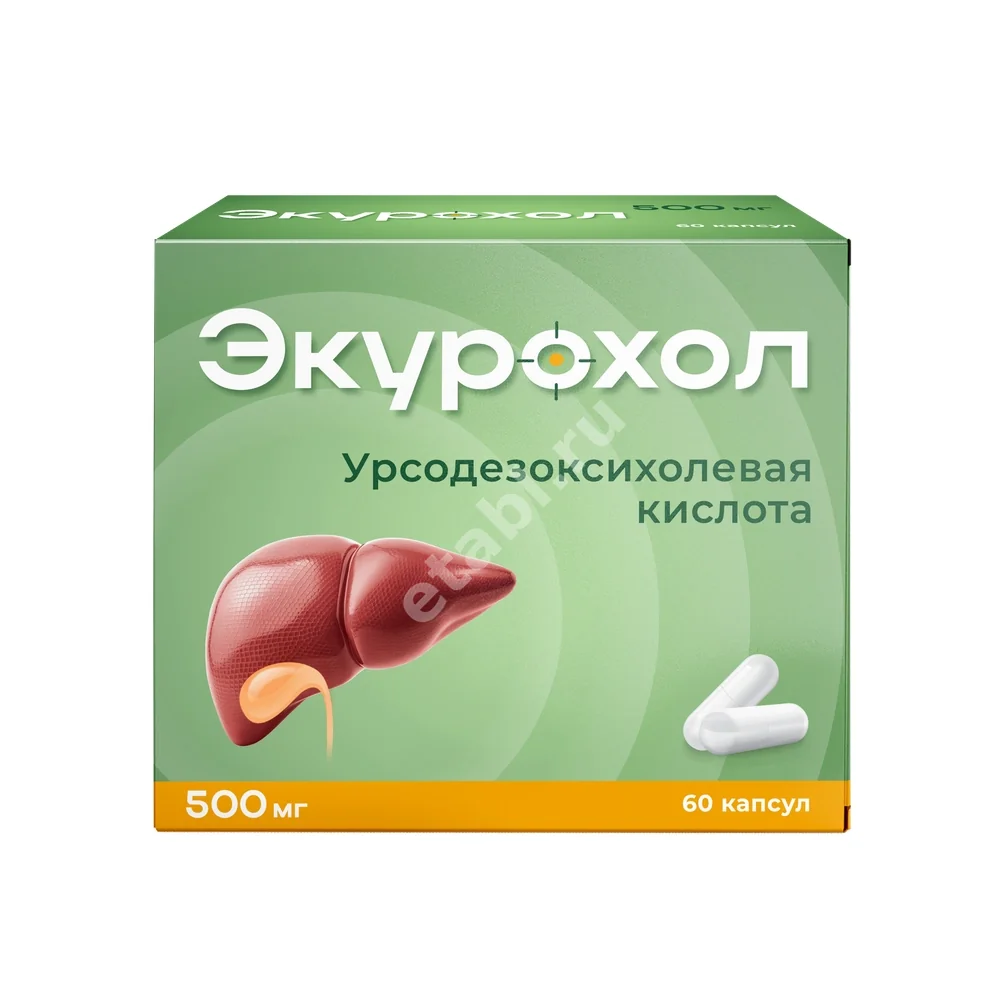 ЭКУРОХОЛ капс. 500мг N60 (ОЗОН, РФ)